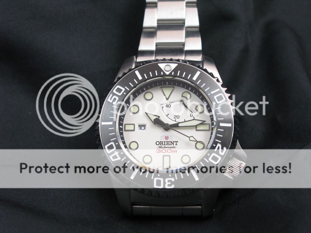 orient diver white dial